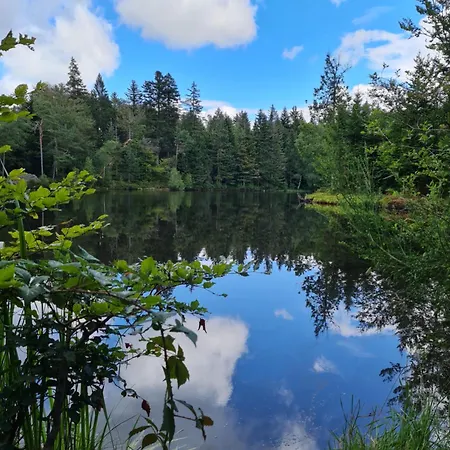 Au Calme Des Vosges بيت للعطل Fresse-sur-Moselle