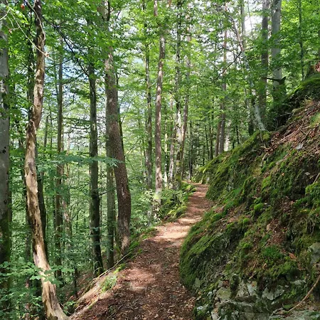 Au Calme Des Vosges Hébergement de vacances