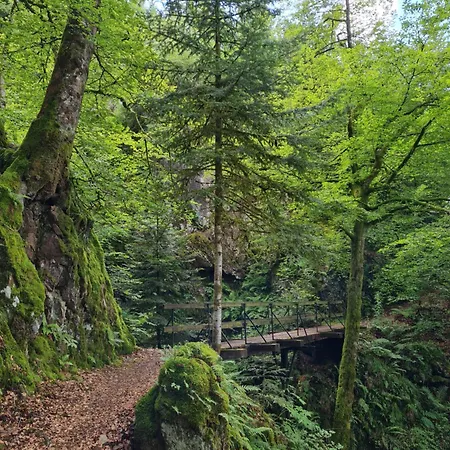 Au Calme Des Vosges Hébergement de vacances *