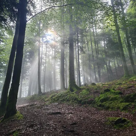 Au Calme Des Vosges Fresse-sur-Moselle