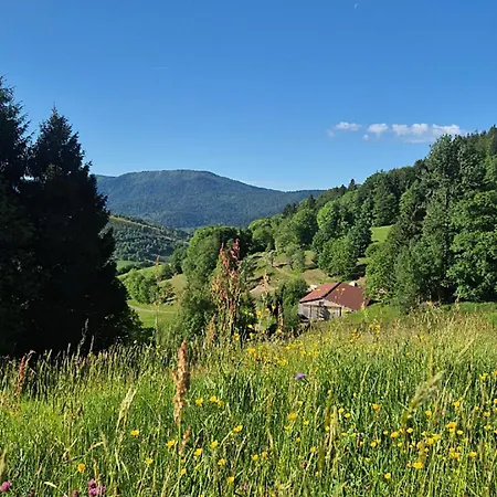 Ferienhaus Au Calme Des Vosges *