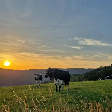 Au Calme Des Vosges Ferienhaus Fresse-sur-Moselle