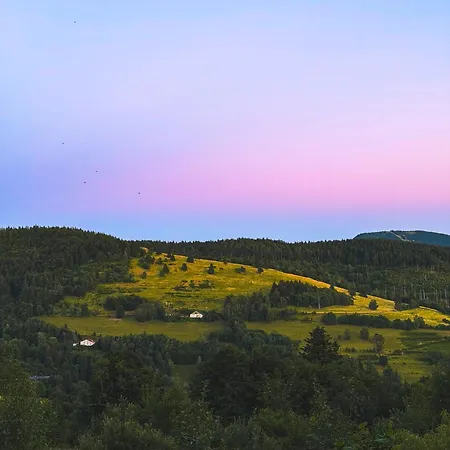 Au Calme Des Vosges *