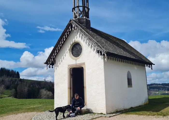 Au Calme Des Vosges Fresse-sur-Moselle
