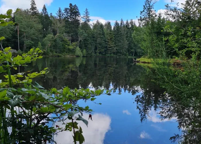 Au Calme Des Vosges Semesterbostad Fresse-sur-Moselle