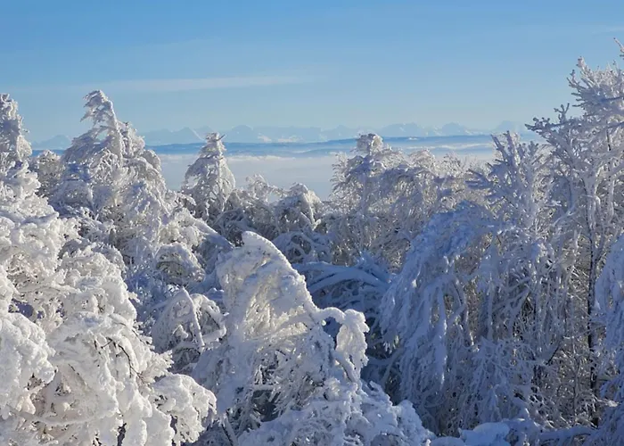 Semesterbostad Au Calme Des Vosges Fresse-sur-Moselle