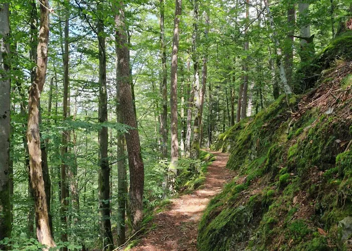 Au Calme Des Vosges Дом отдыха