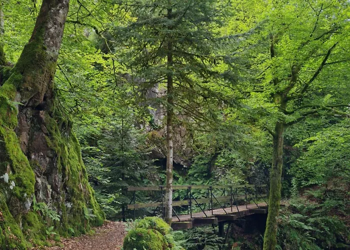 Au Calme Des Vosges Semesterbostad *